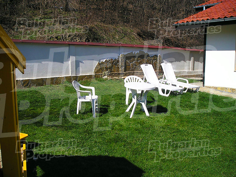 Gallery Picture 58