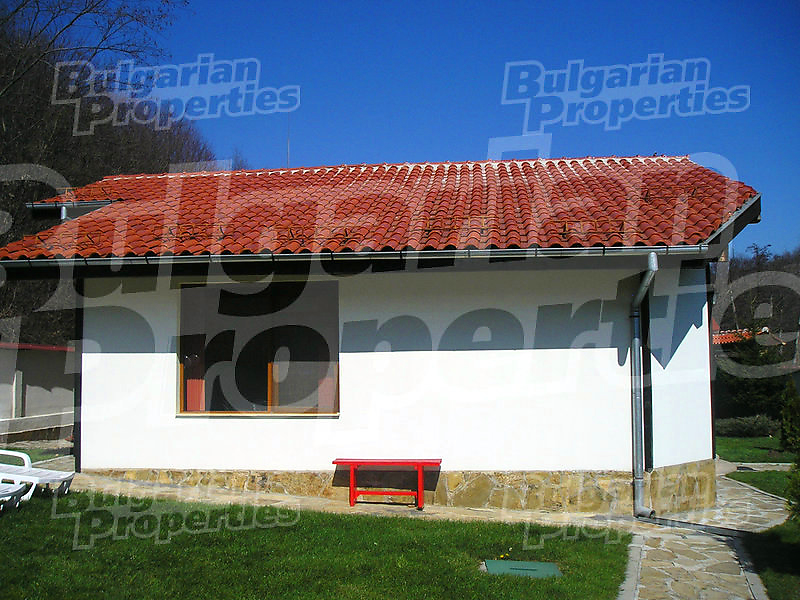 Gallery Picture 59