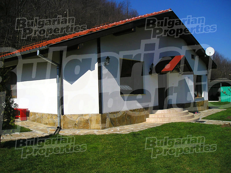 Gallery Picture 62