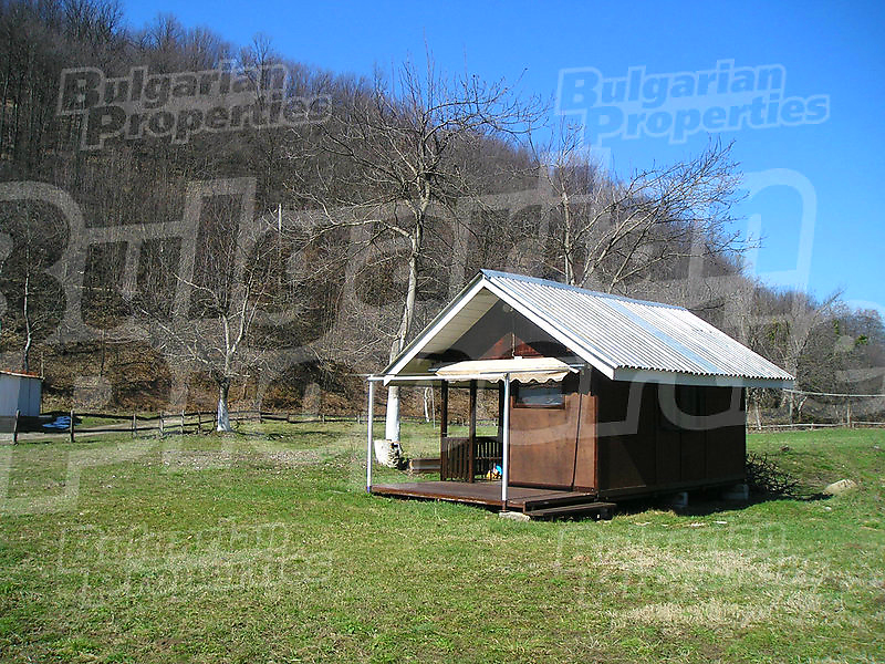 Gallery Picture 67