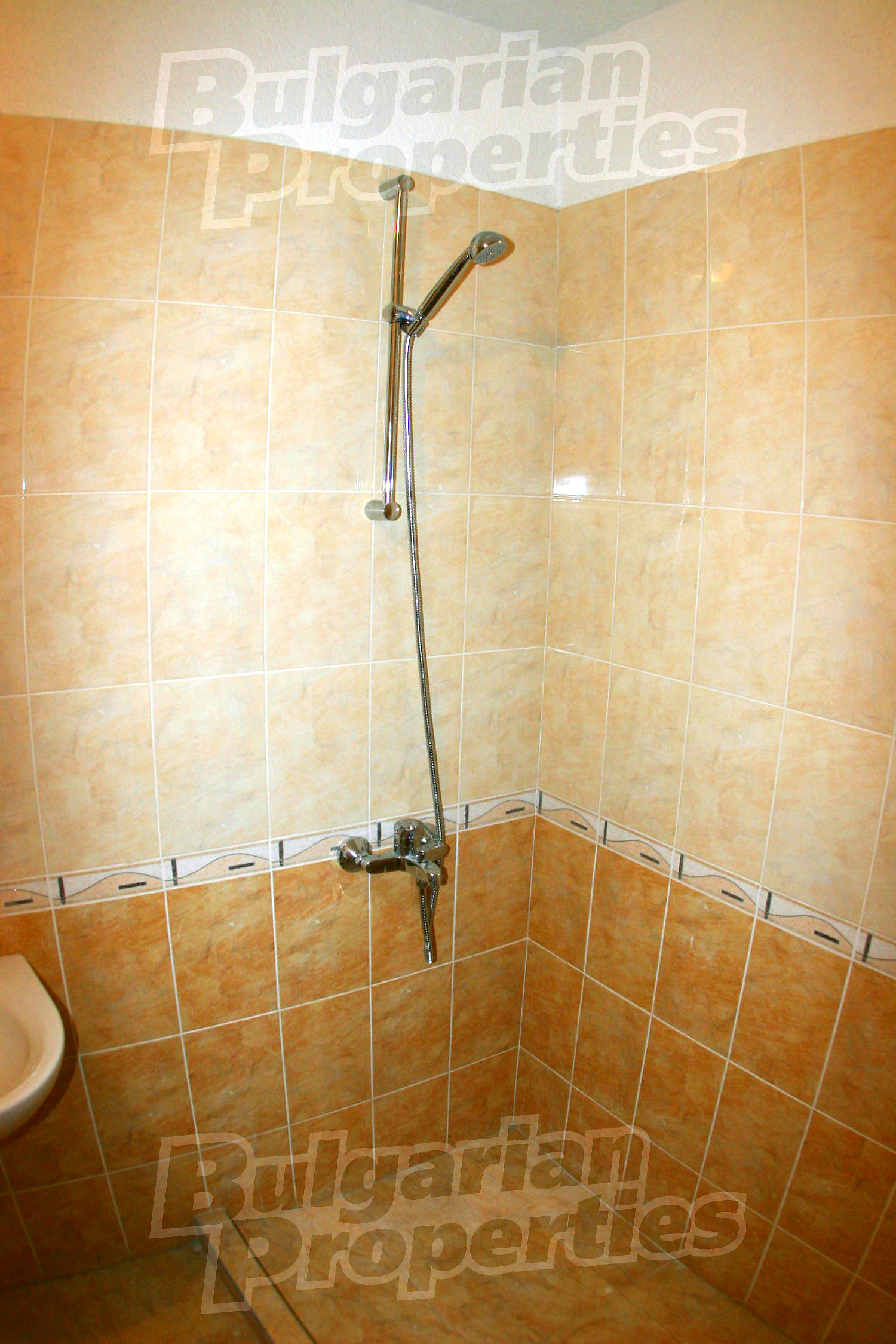 Gallery Picture 18