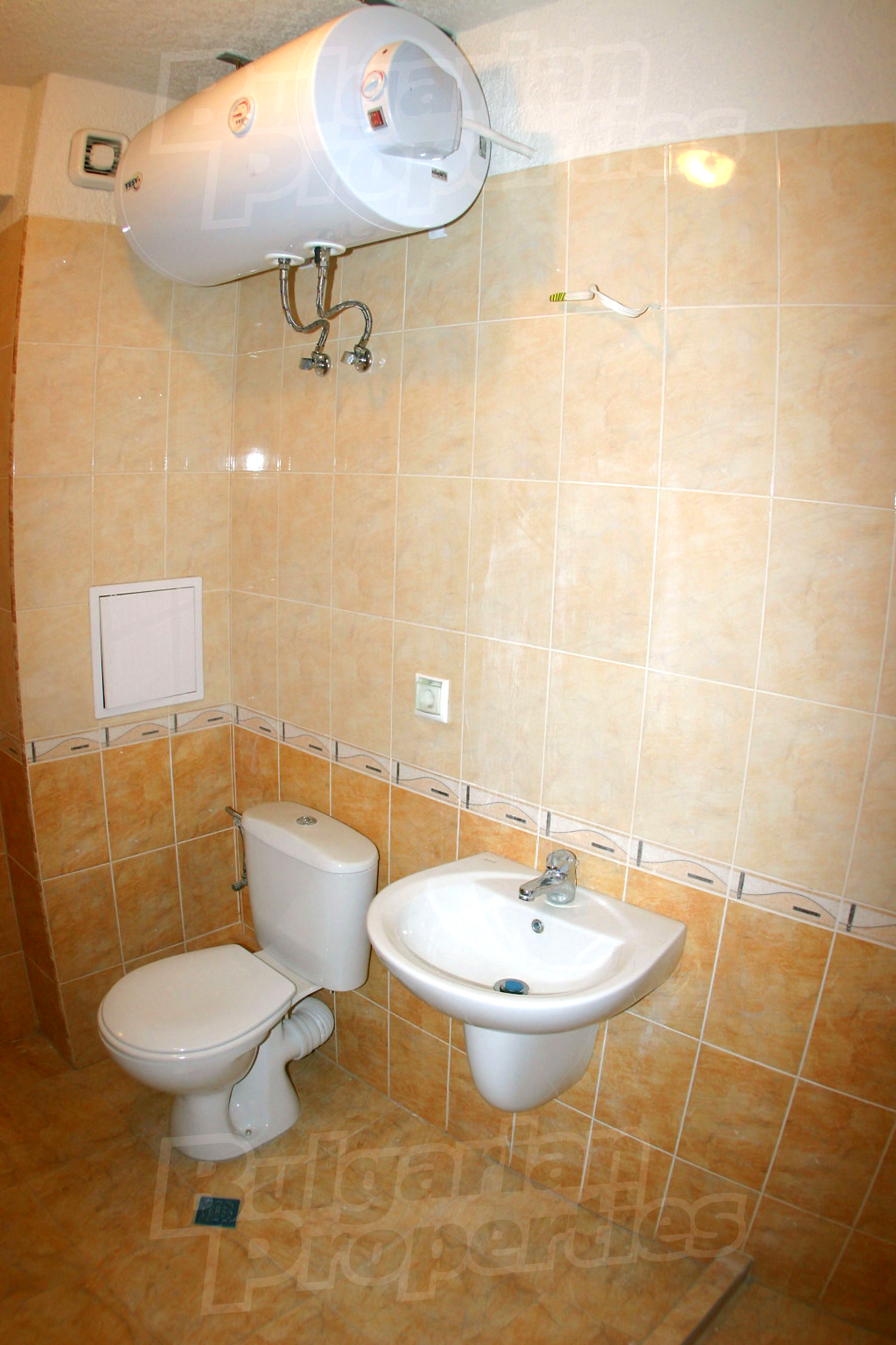 Gallery Picture 19