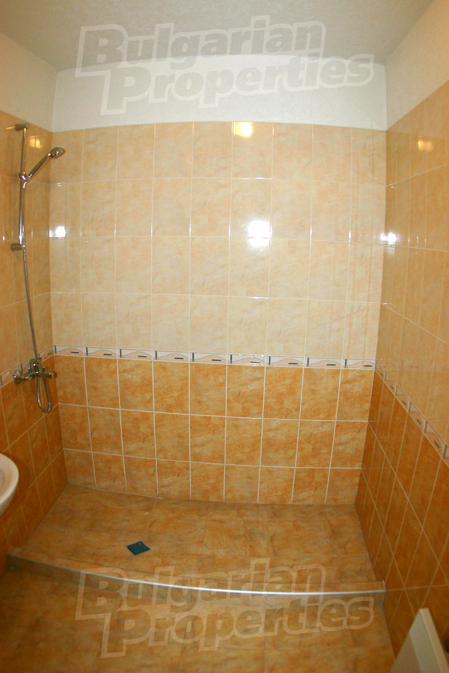 Gallery Picture 21