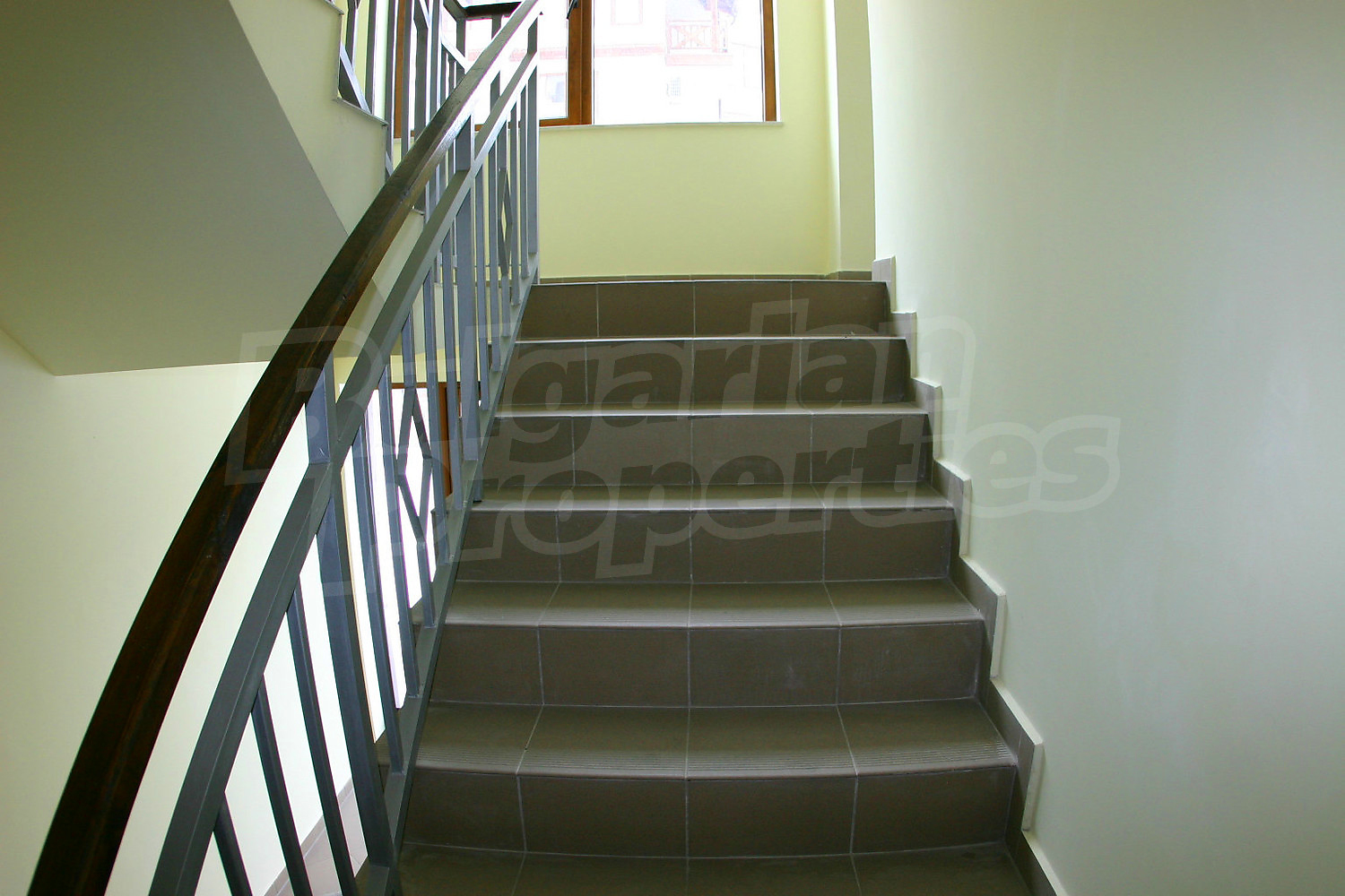 Gallery Picture 23