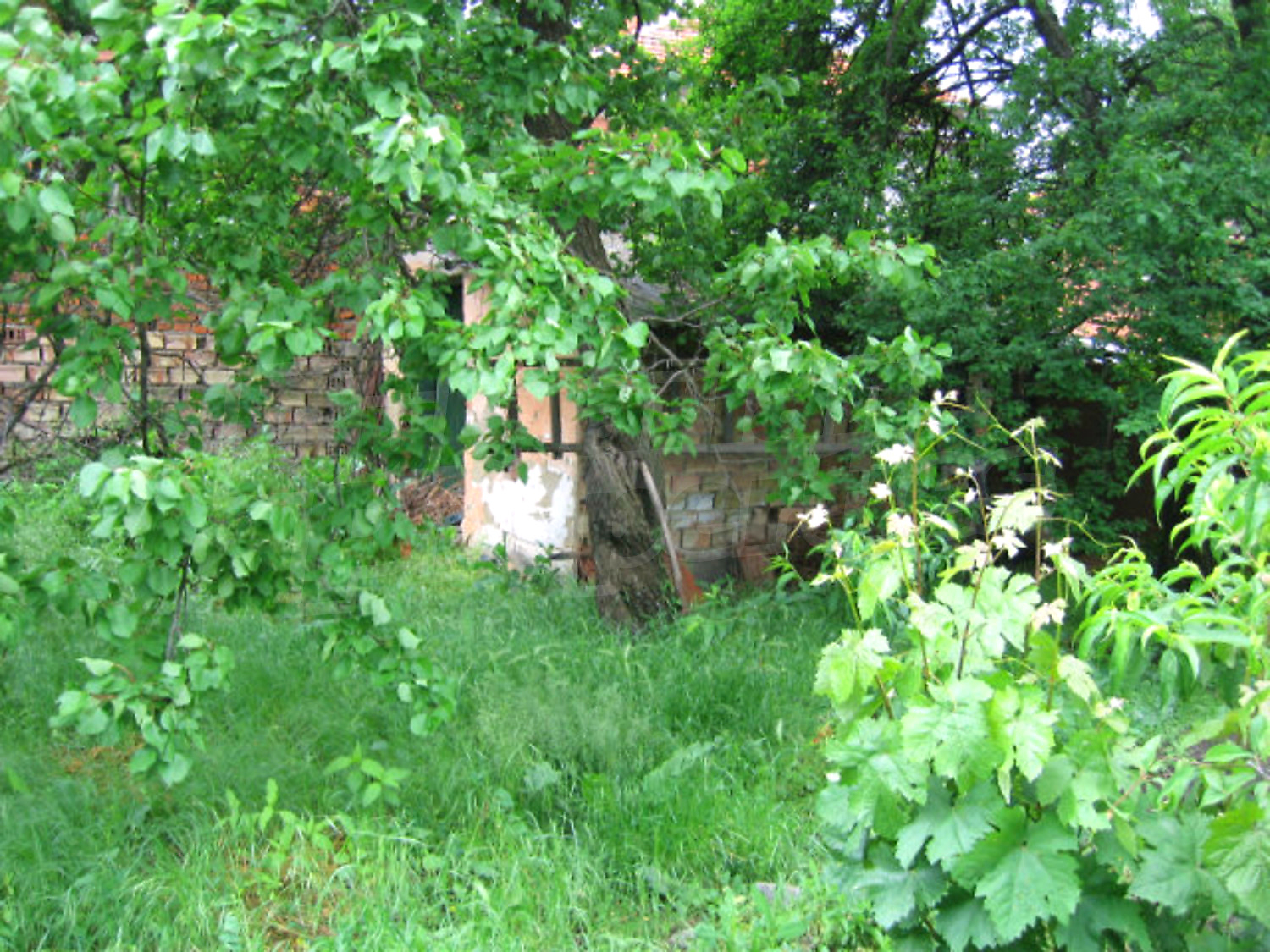 Gallery Picture 11