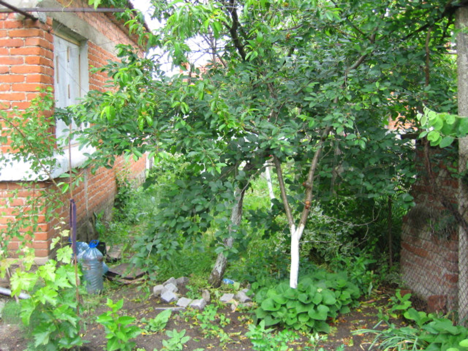 Gallery Picture 17