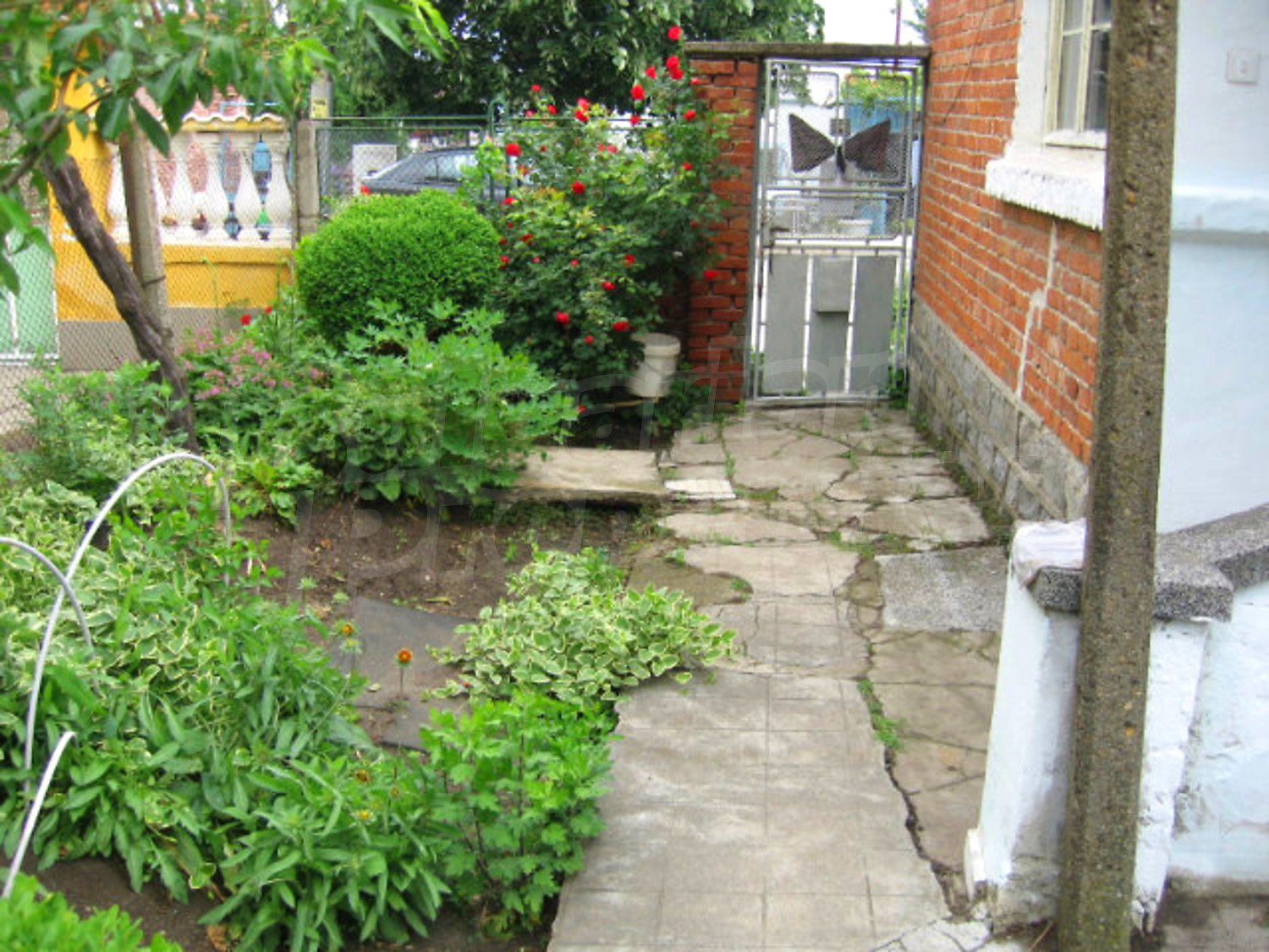 Gallery Picture 7