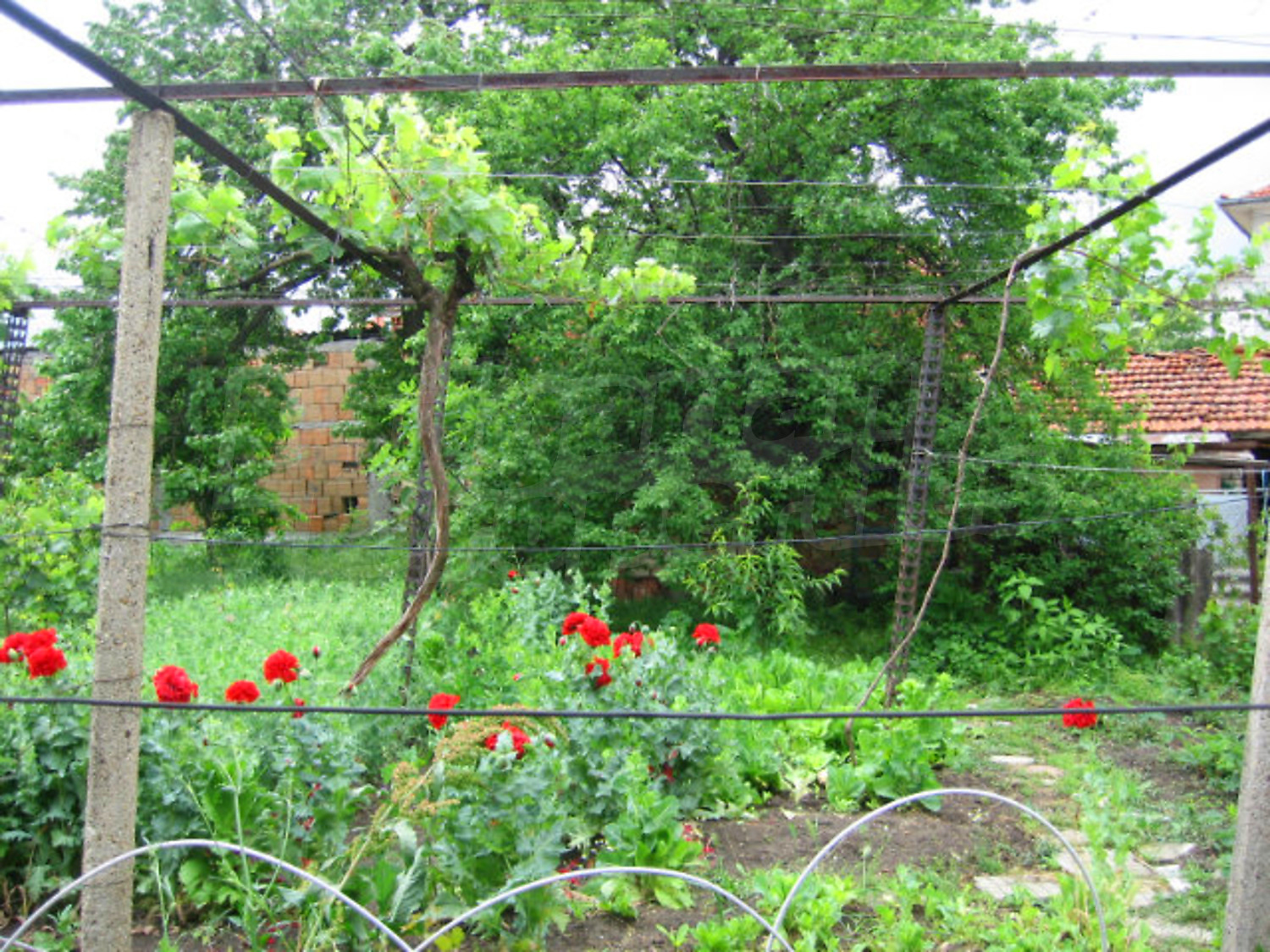Gallery Picture 8
