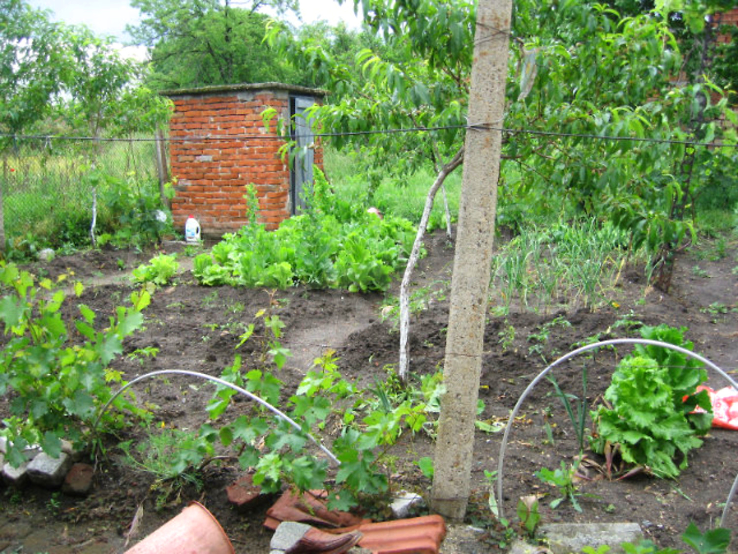 Gallery Picture 9