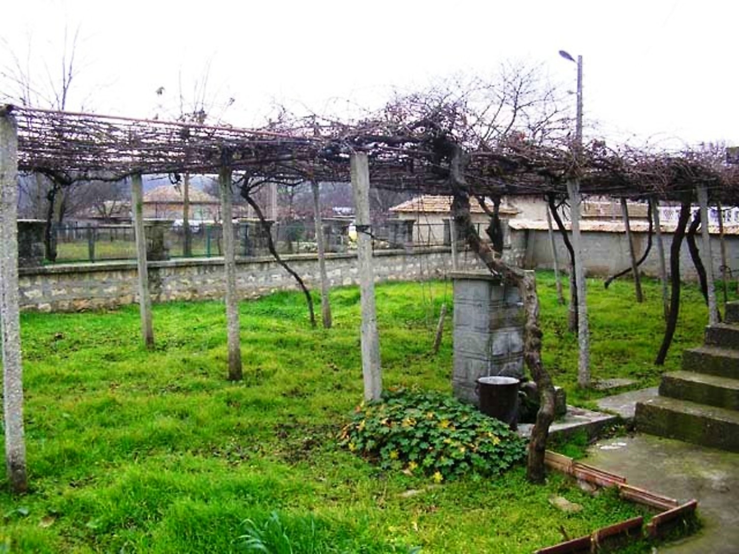 Gallery Picture 17