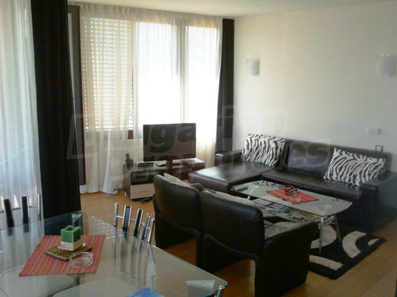 Gallery Picture 11