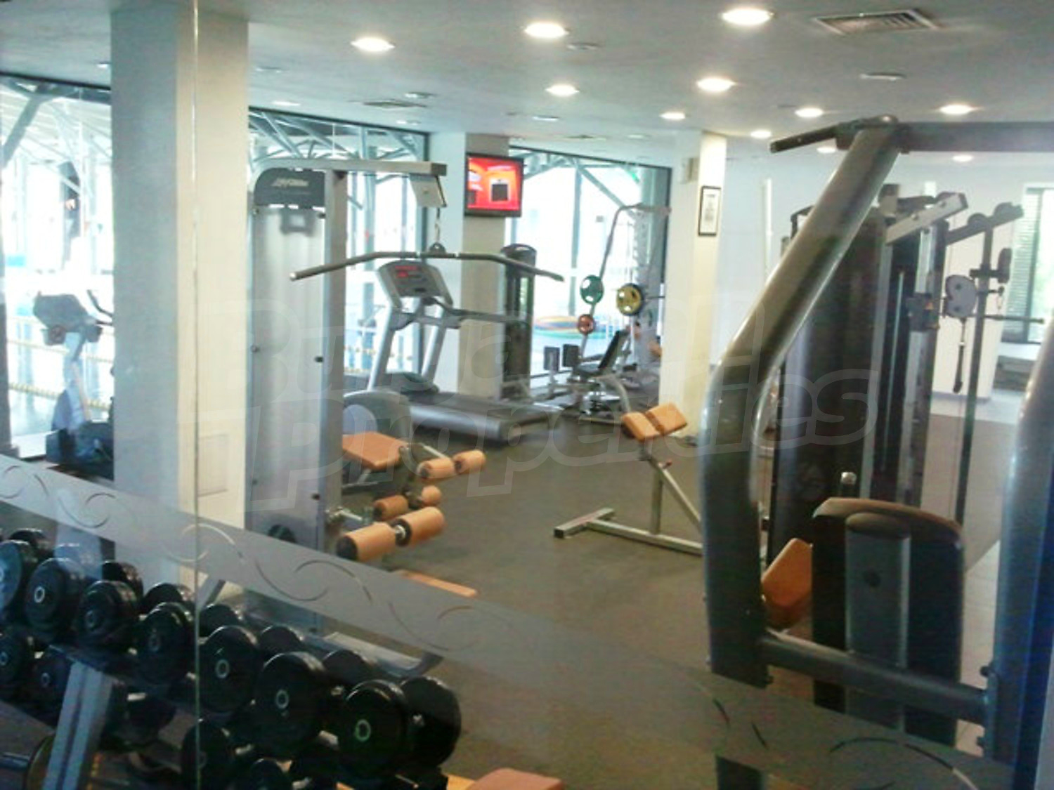 Gallery Picture 26