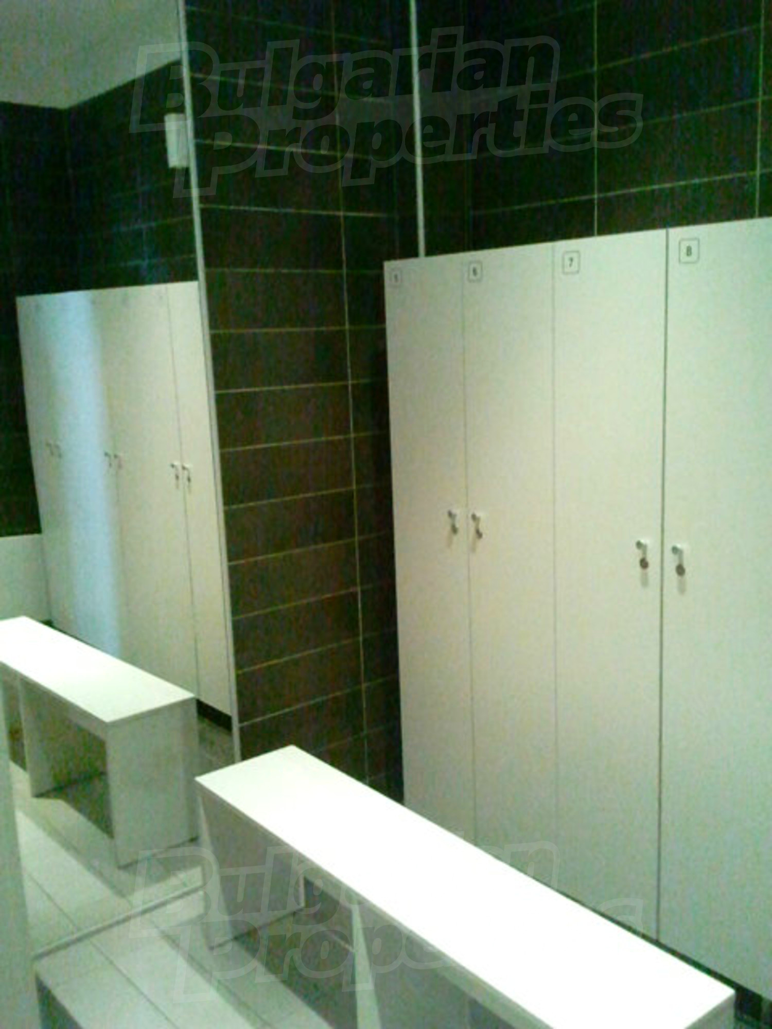 Gallery Picture 29
