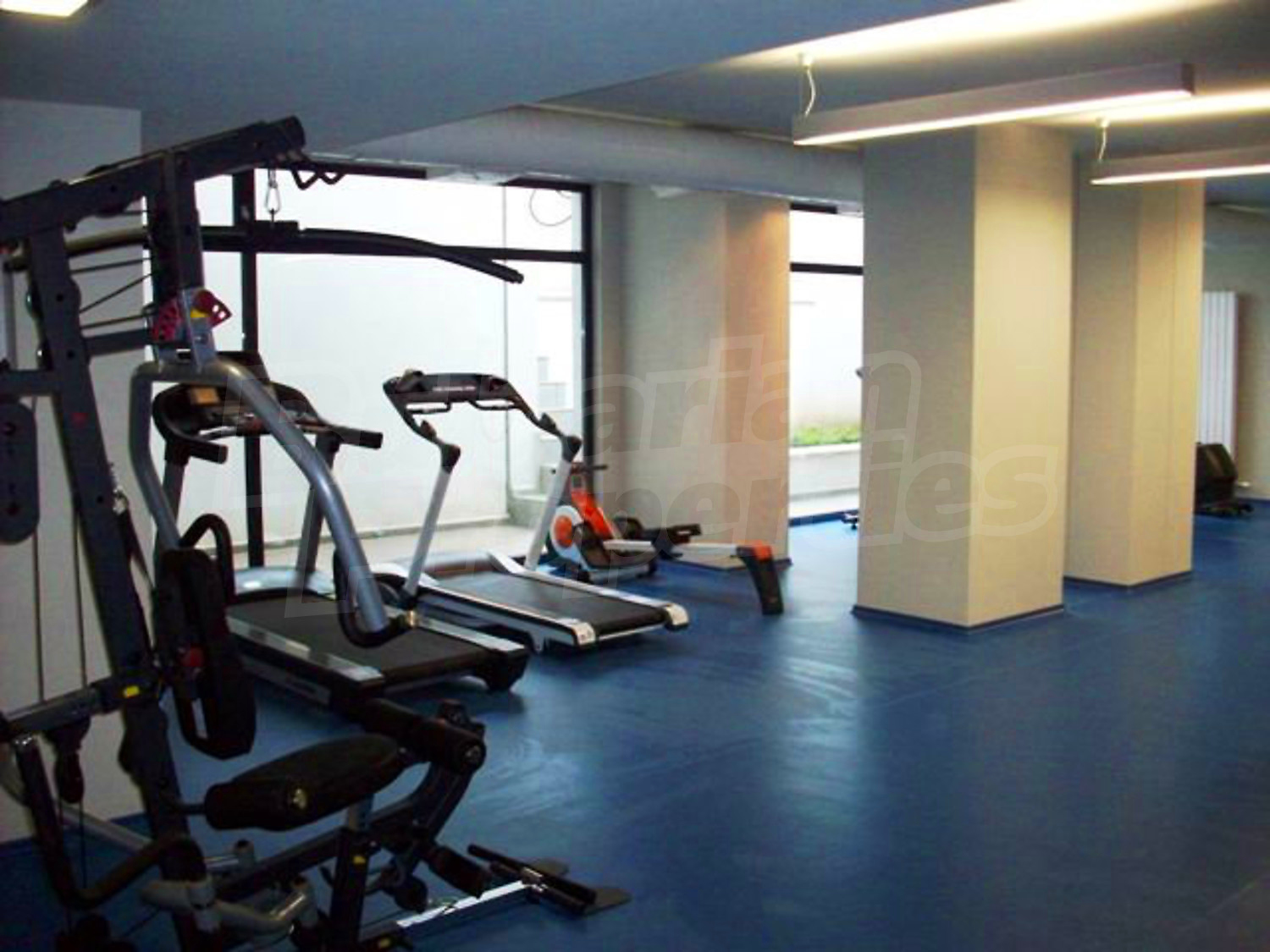 Gallery Picture 5