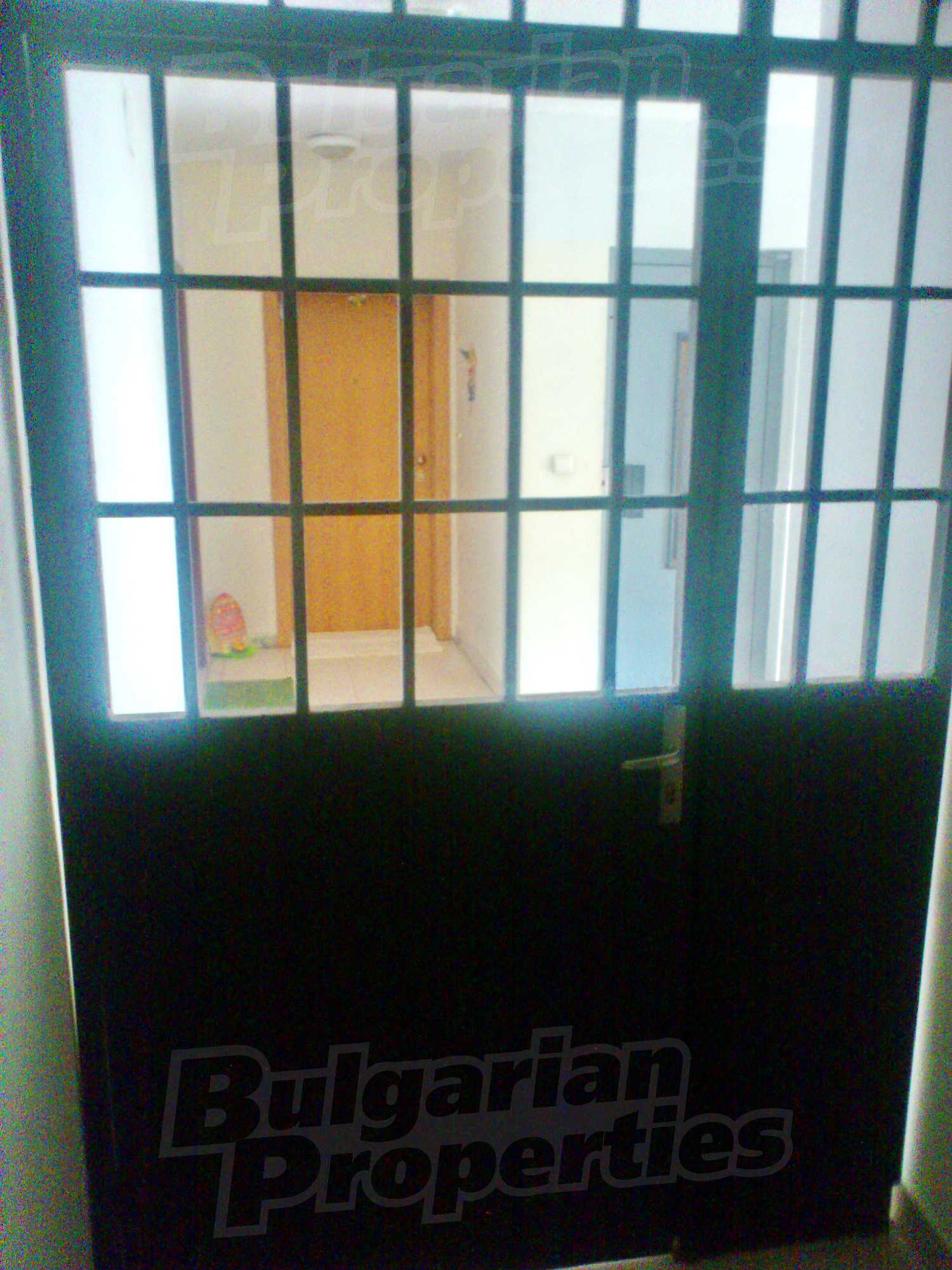 Gallery Picture 14
