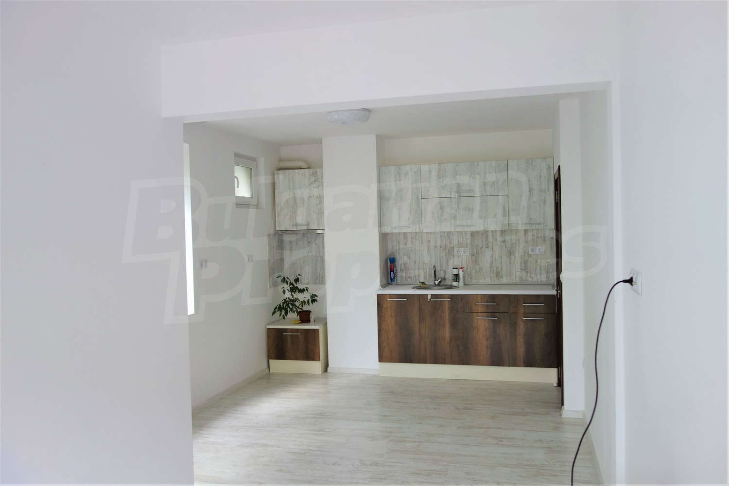 Gallery Picture 5