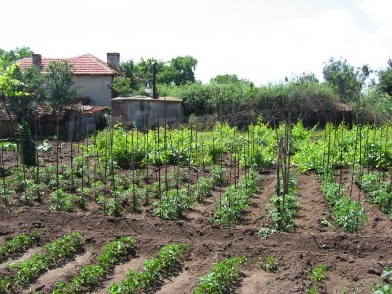 Gallery Picture 11