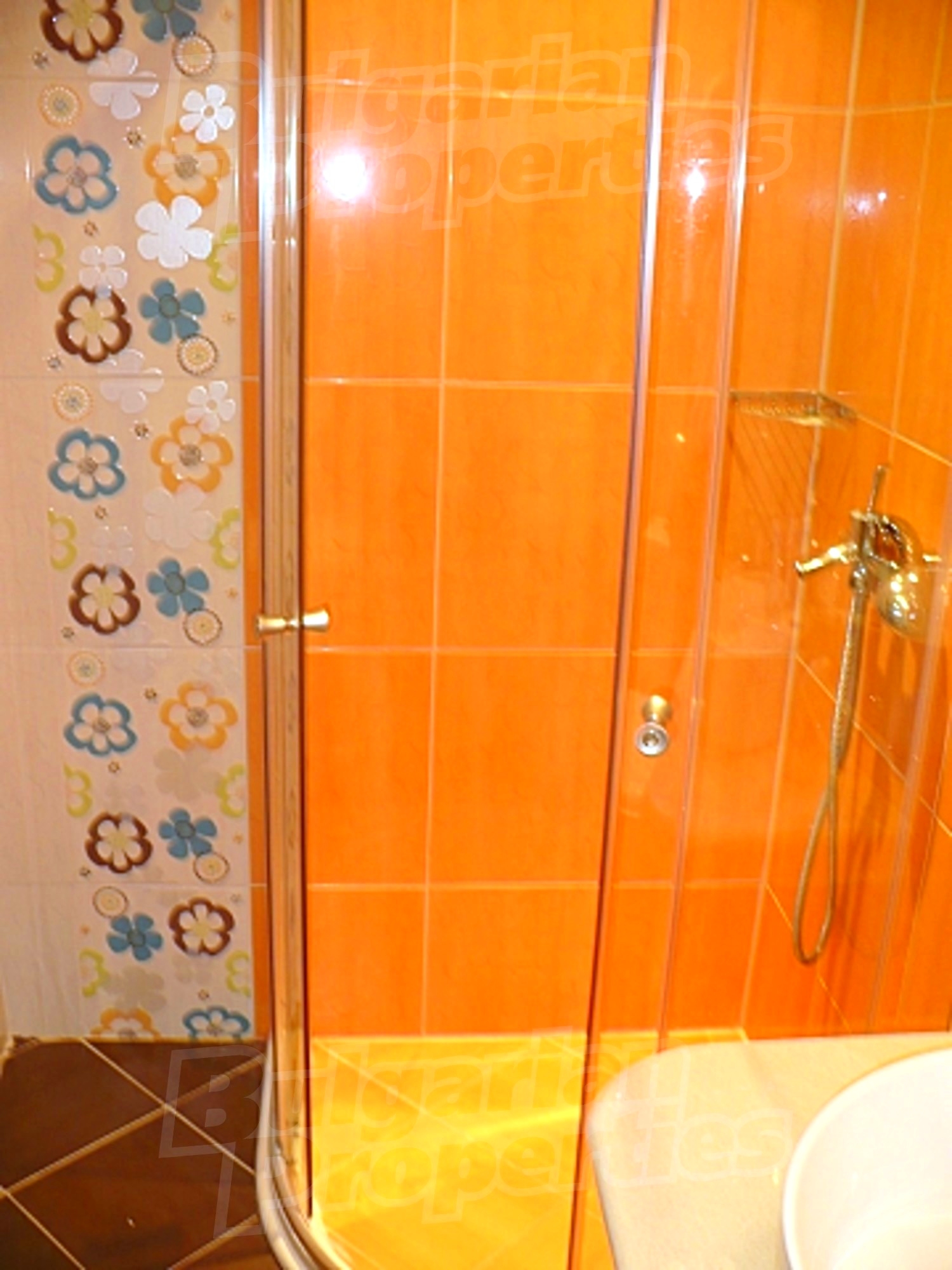 Gallery Picture 24