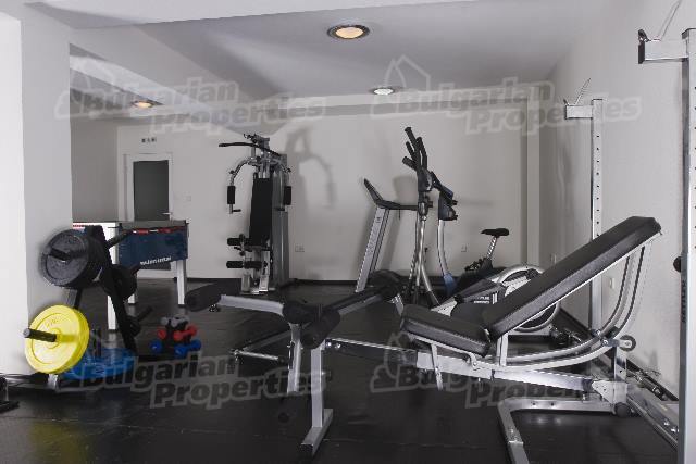Gallery Picture 12