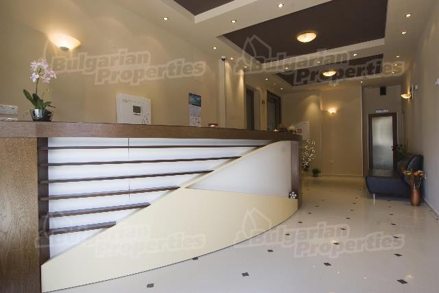 Gallery Picture 8