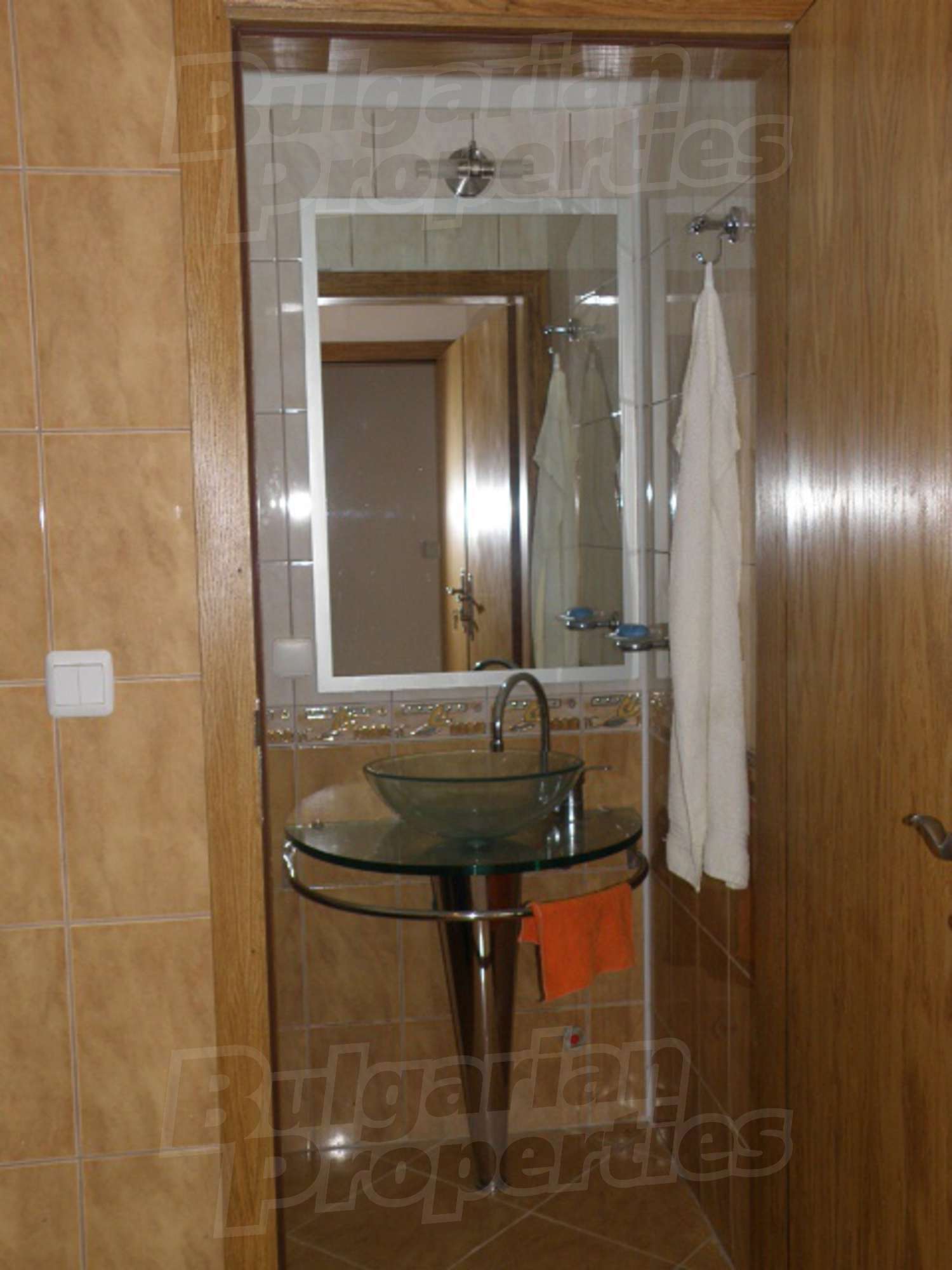 Gallery Picture 19