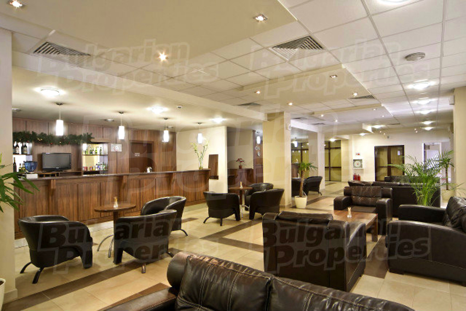 Gallery Picture 25