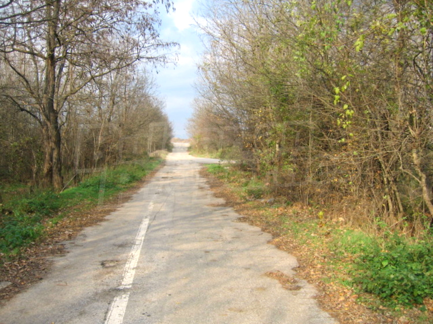 Gallery Picture 10