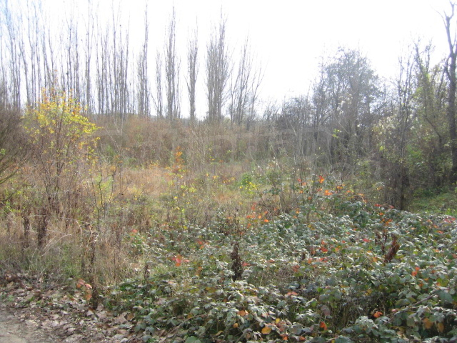 Gallery Picture 14