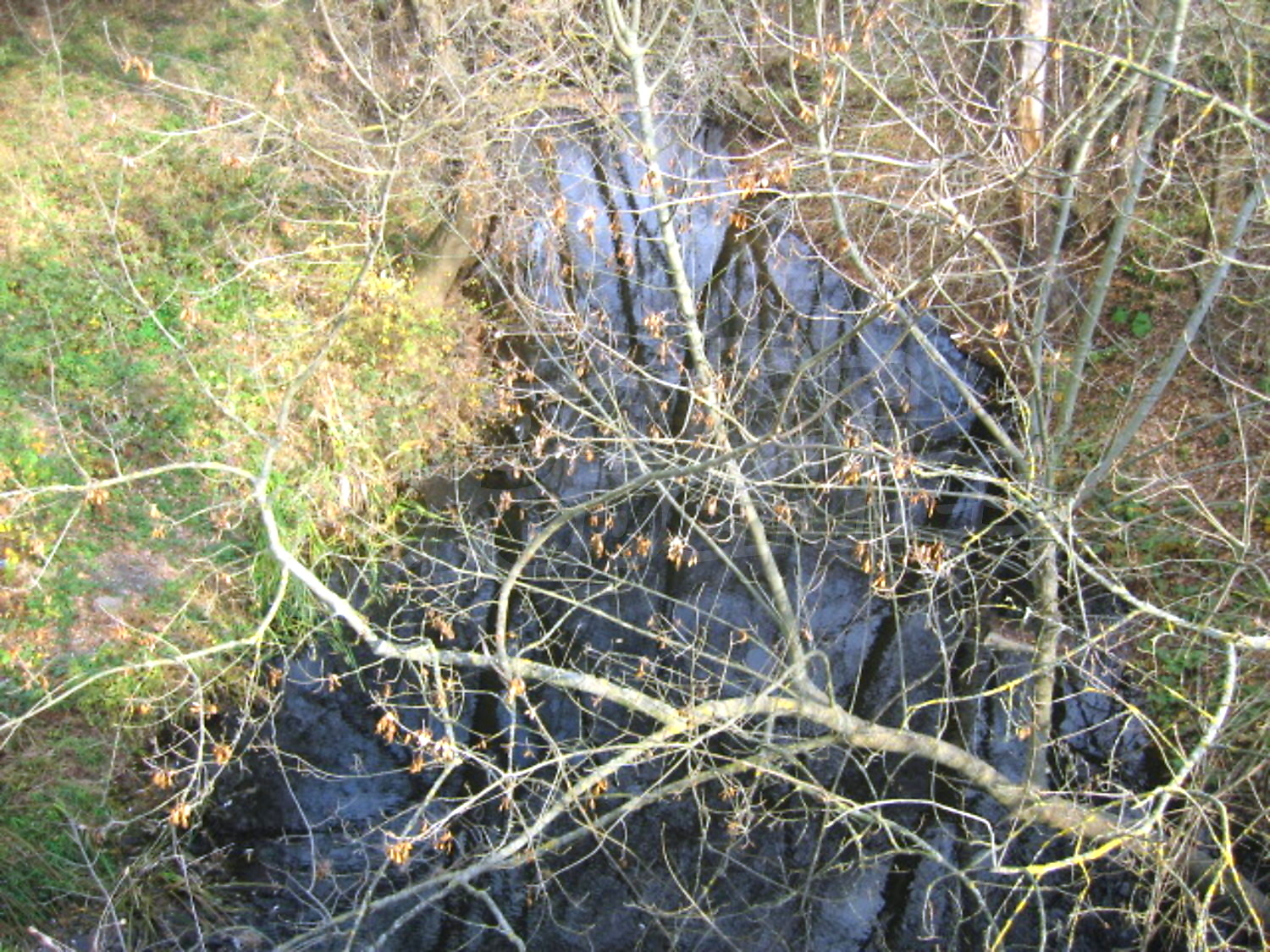 Gallery Picture 6