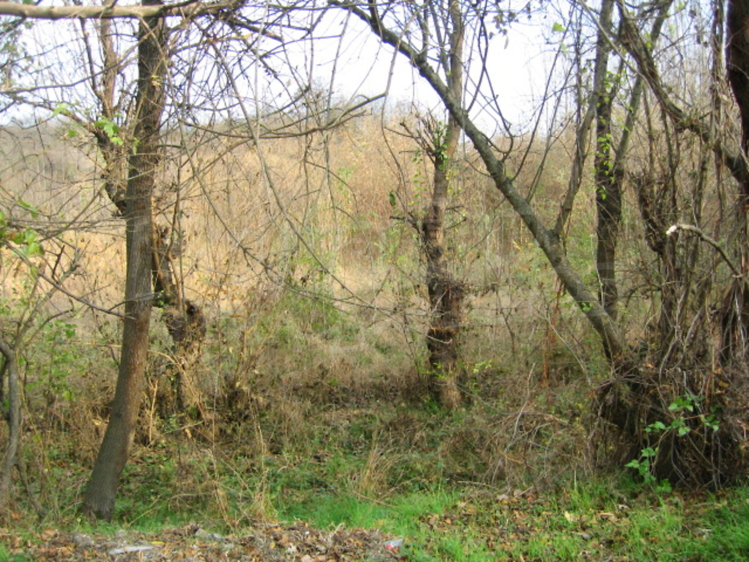 Gallery Picture 8