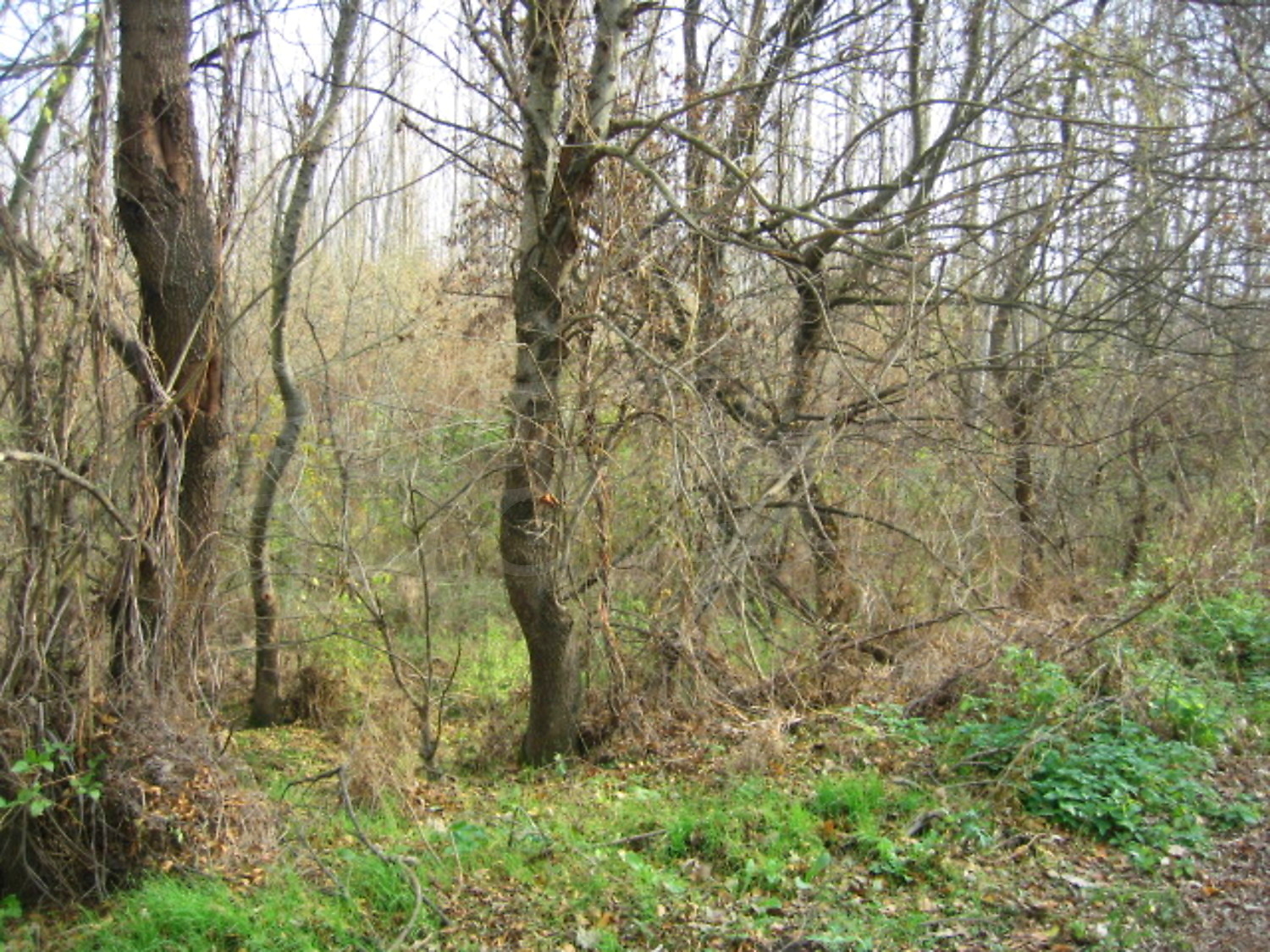 Gallery Picture 9