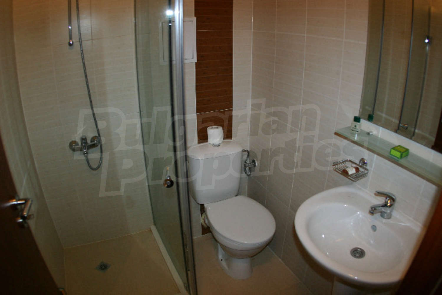 Gallery Picture 10