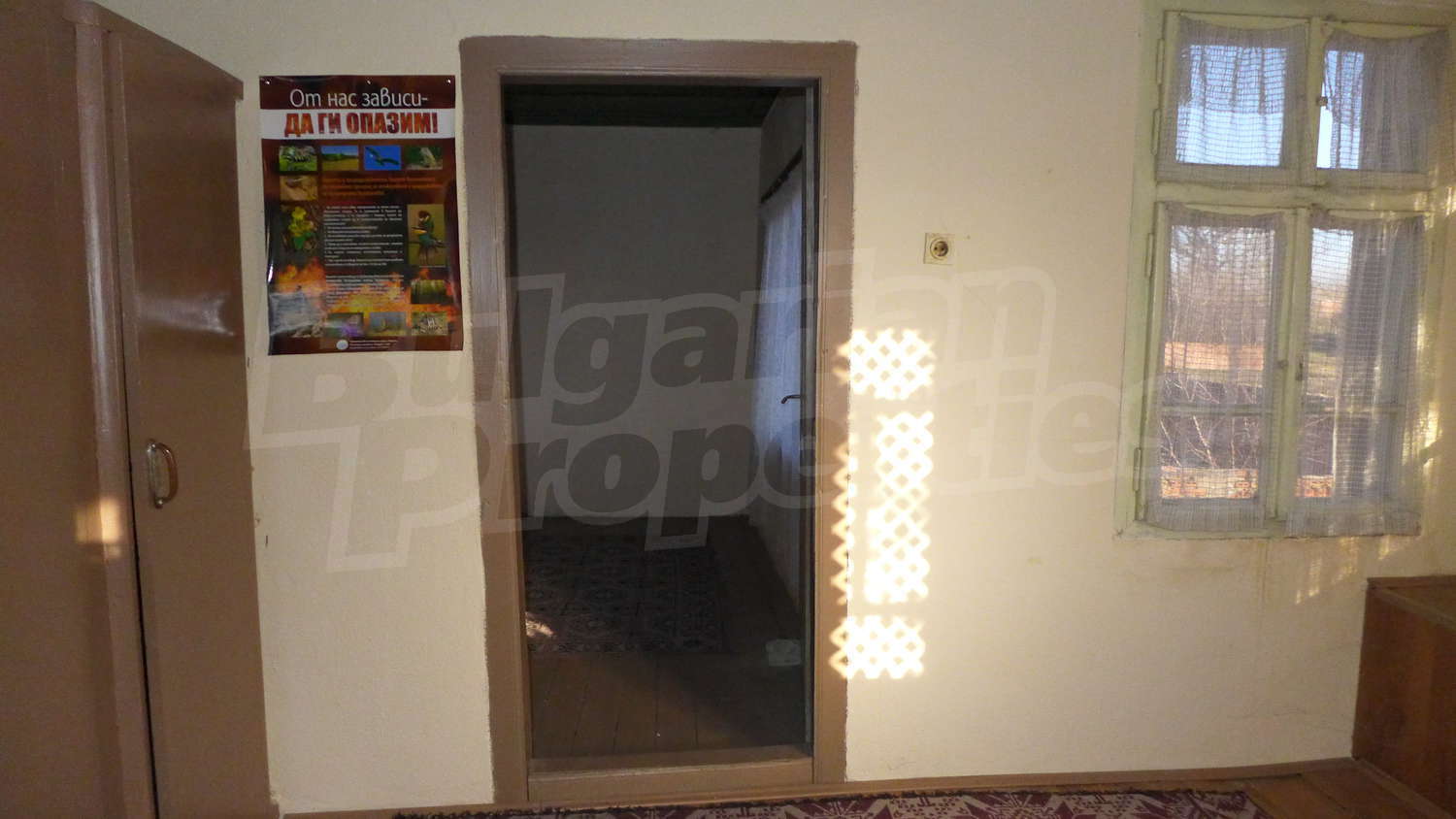 Gallery Picture 19