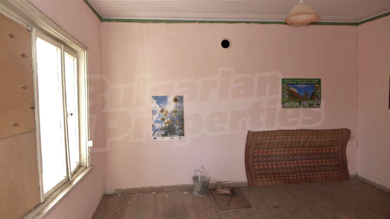 Gallery Picture 25