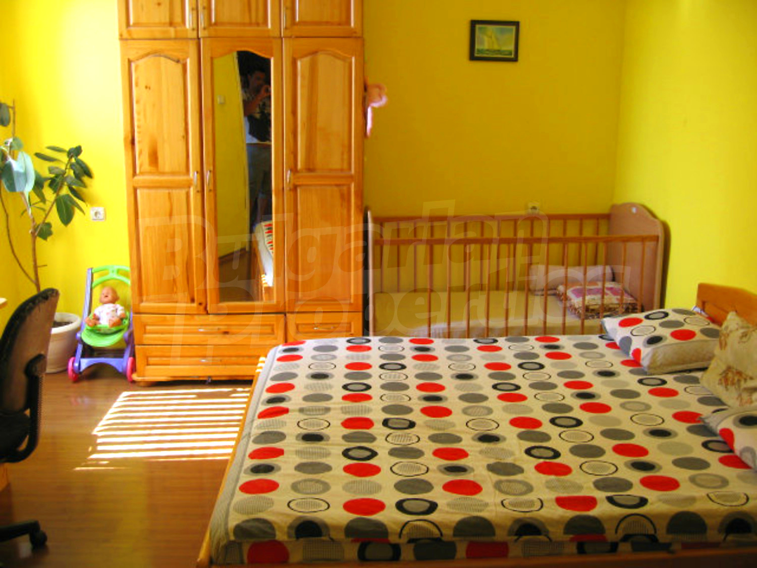 Gallery Picture 19