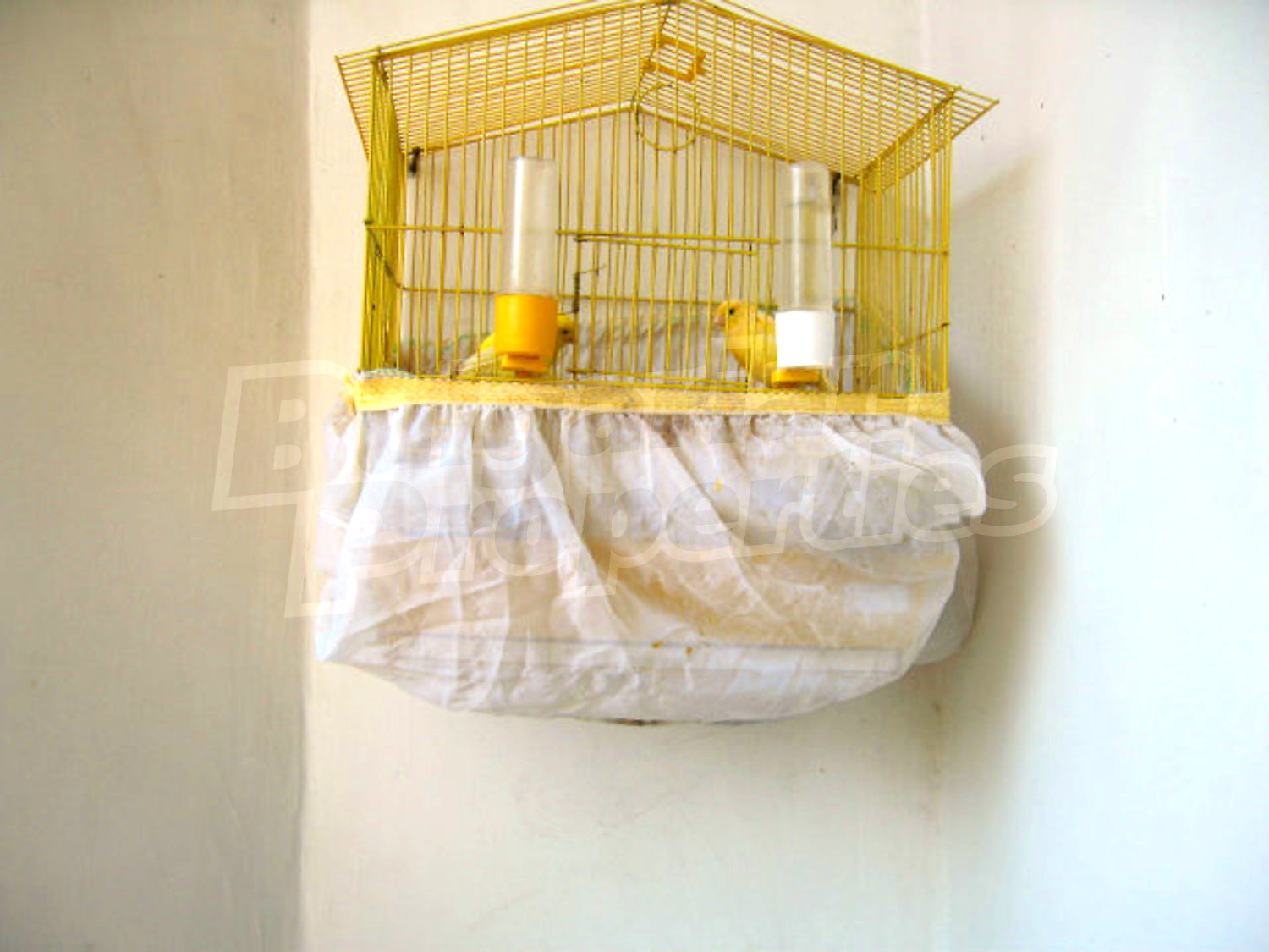 Gallery Picture 26