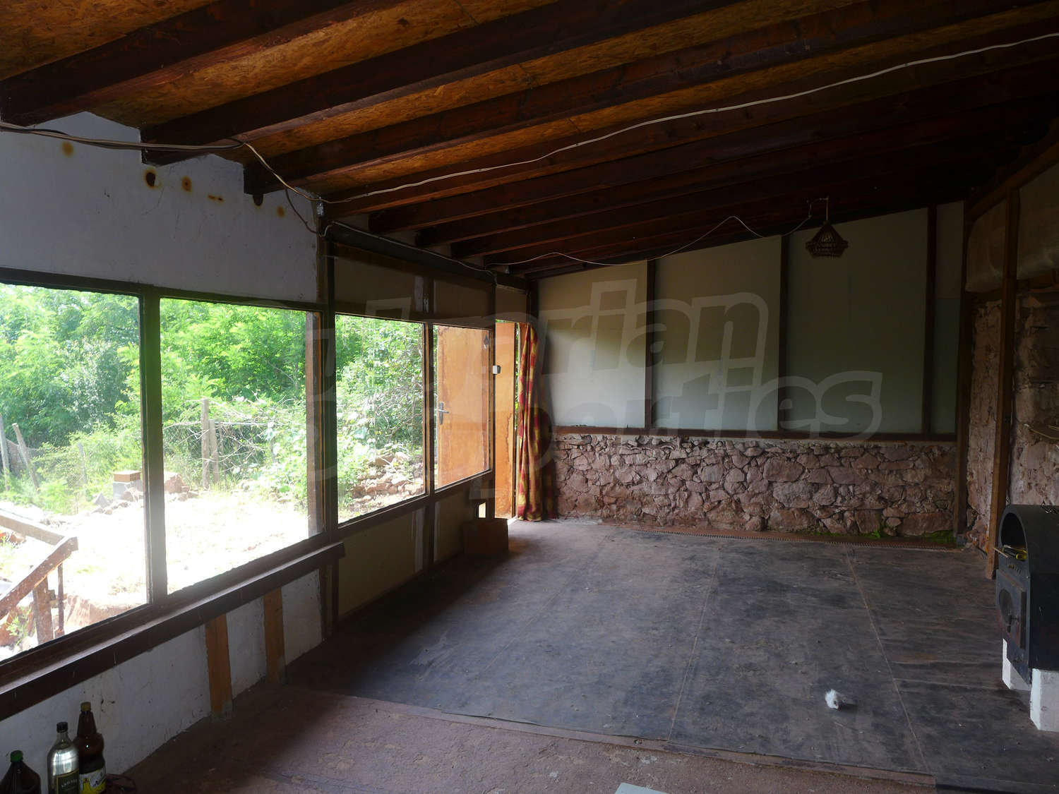 Gallery Picture 38