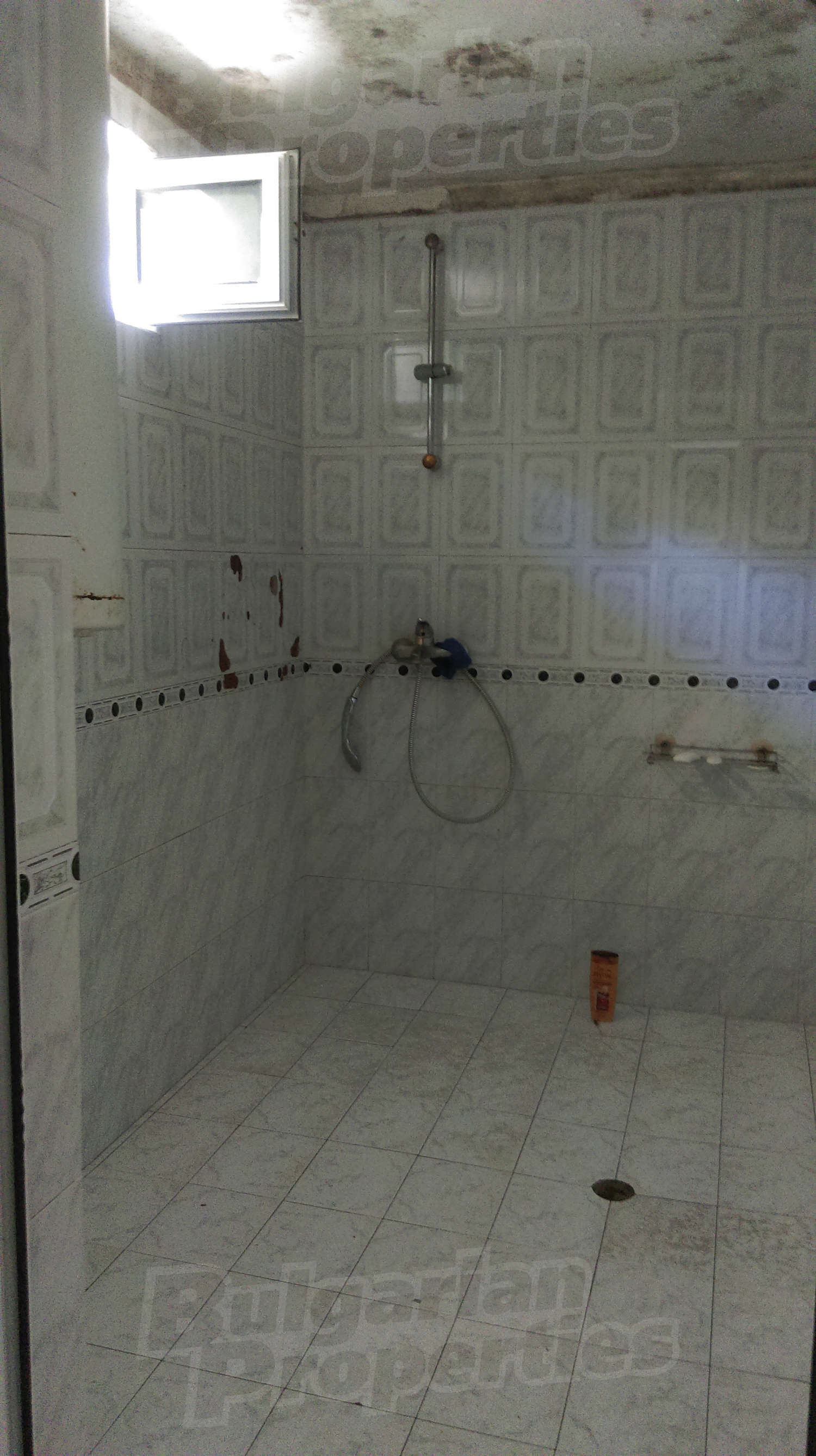 Gallery Picture 26