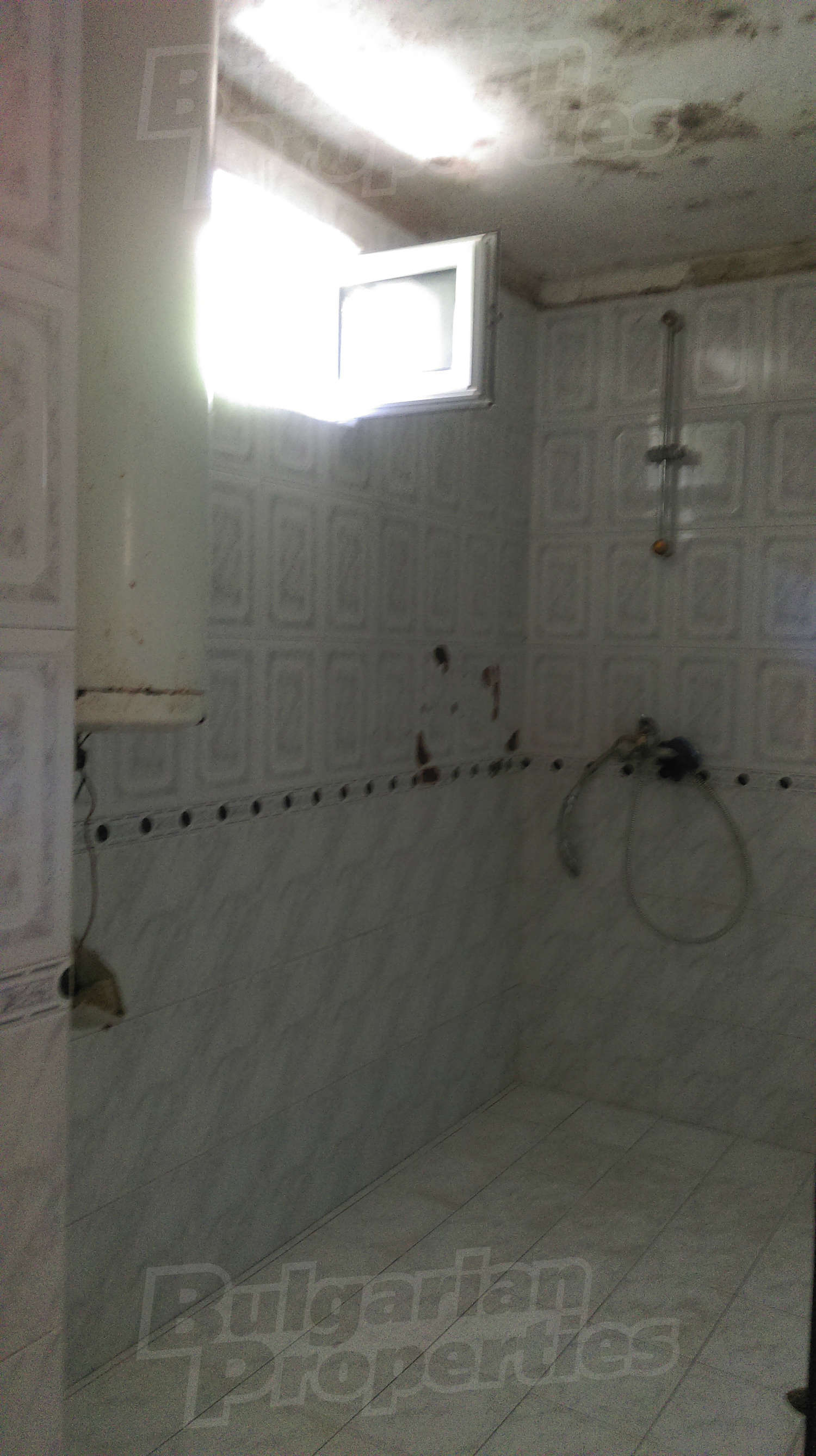 Gallery Picture 27