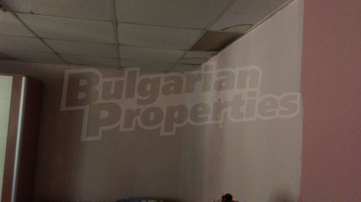 Gallery Picture 32