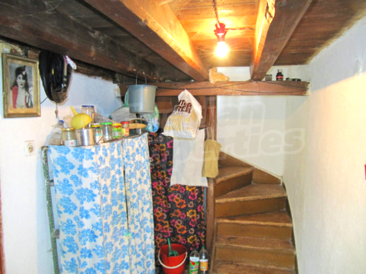 Gallery Picture 25