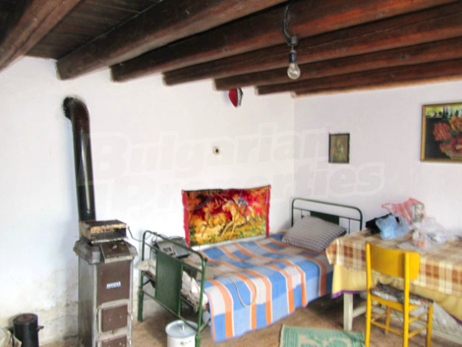 Gallery Picture 29