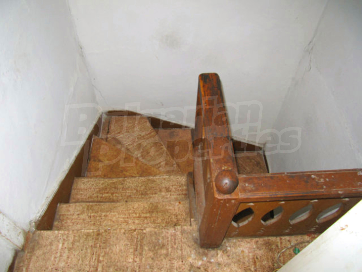 Gallery Picture 31