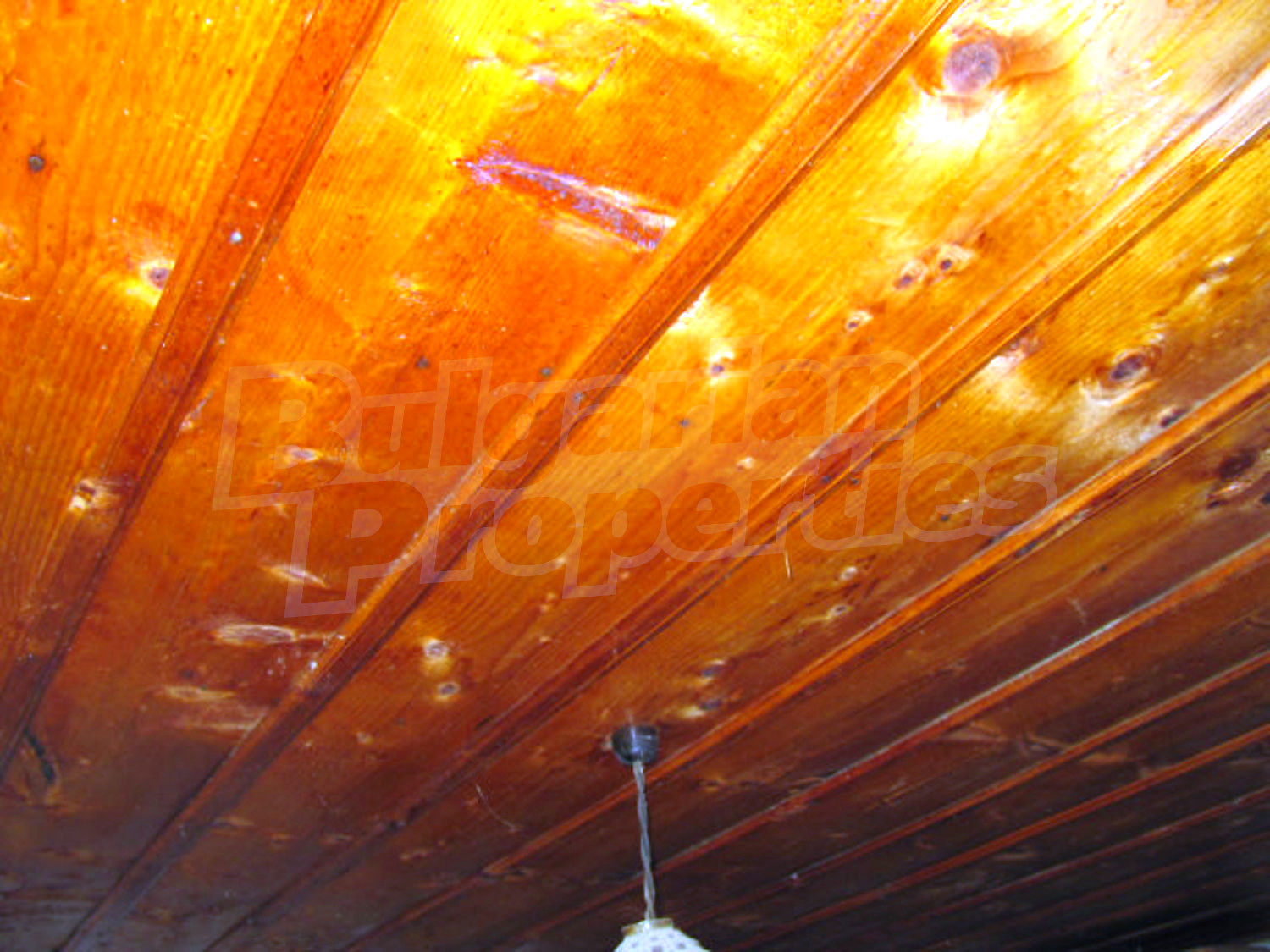 Gallery Picture 34