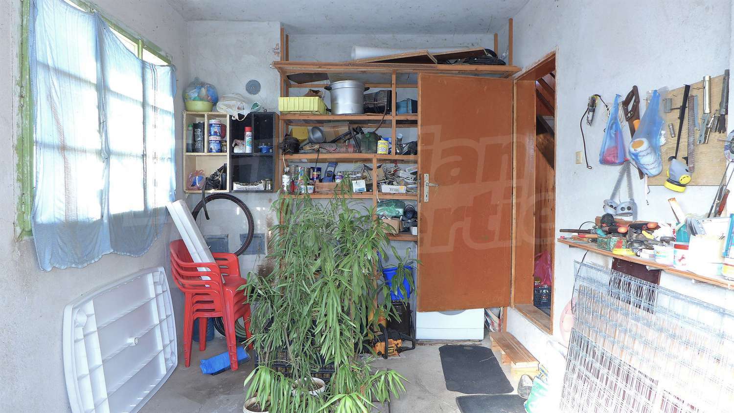 Gallery Picture 52