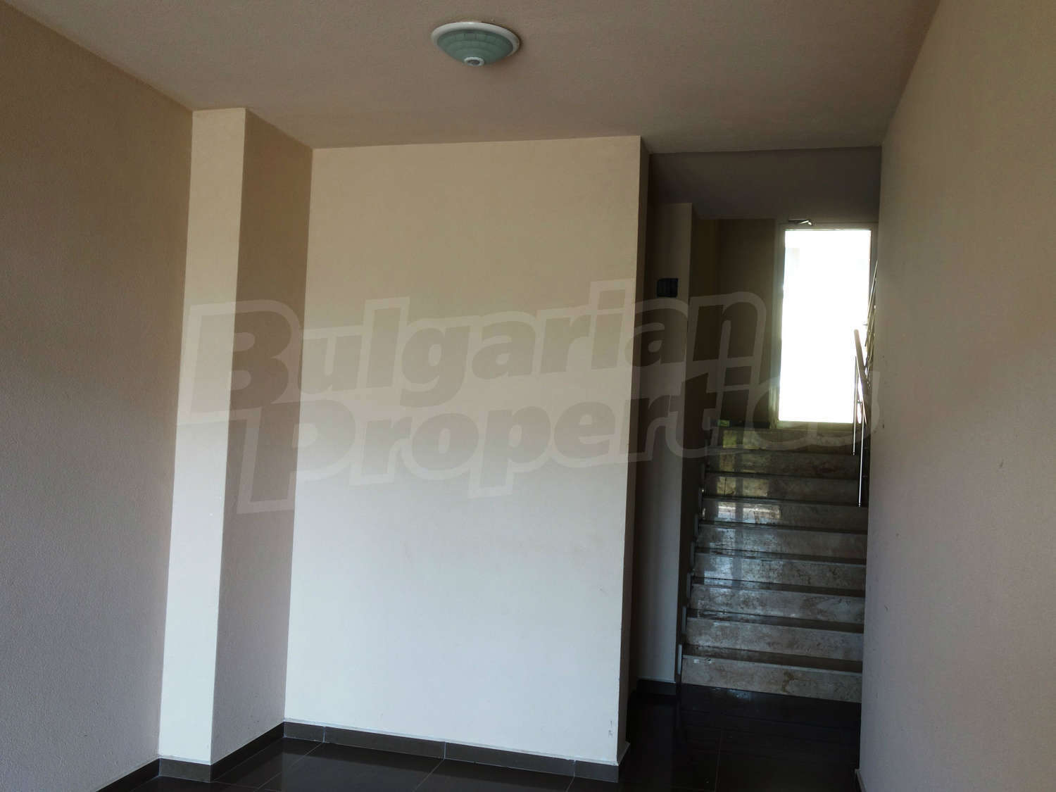 Gallery Picture 27