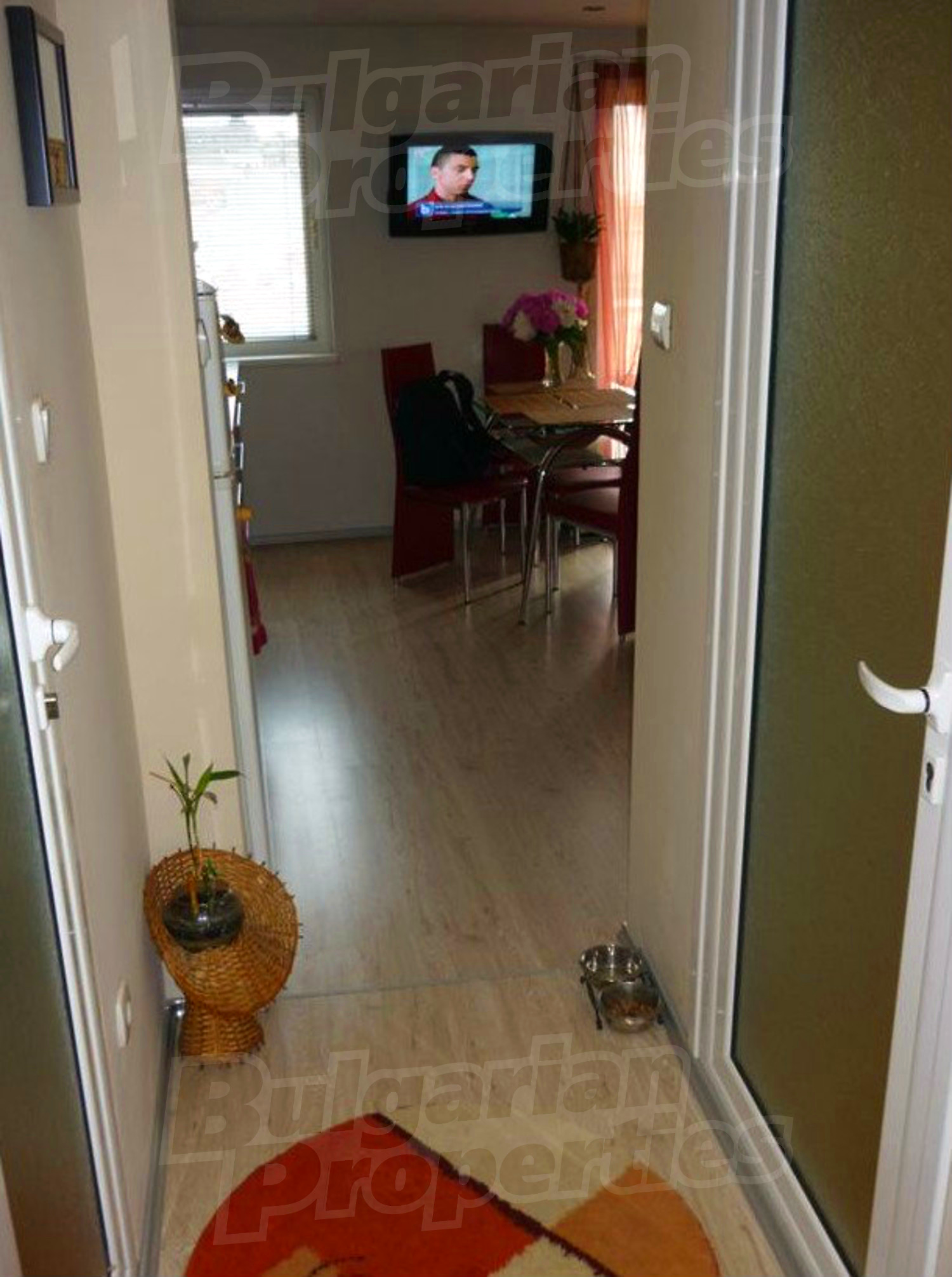 Gallery Picture 12