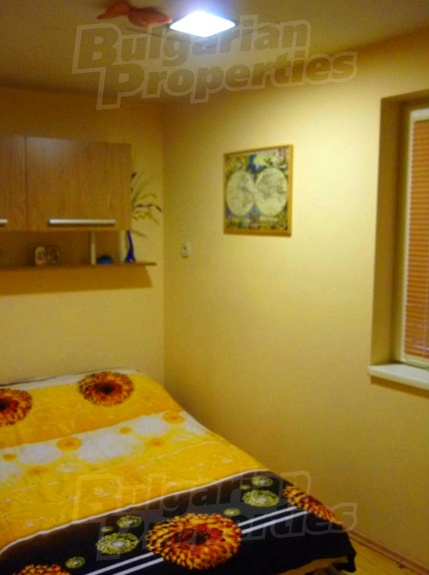 Gallery Picture 13