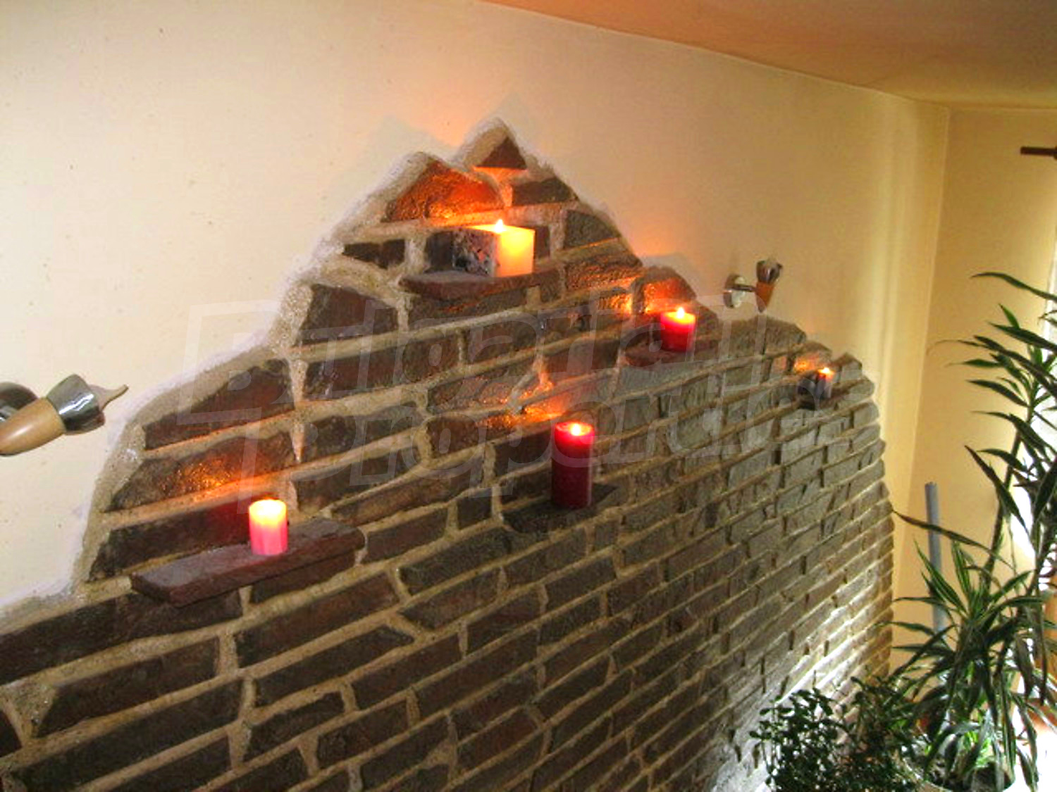 Gallery Picture 17