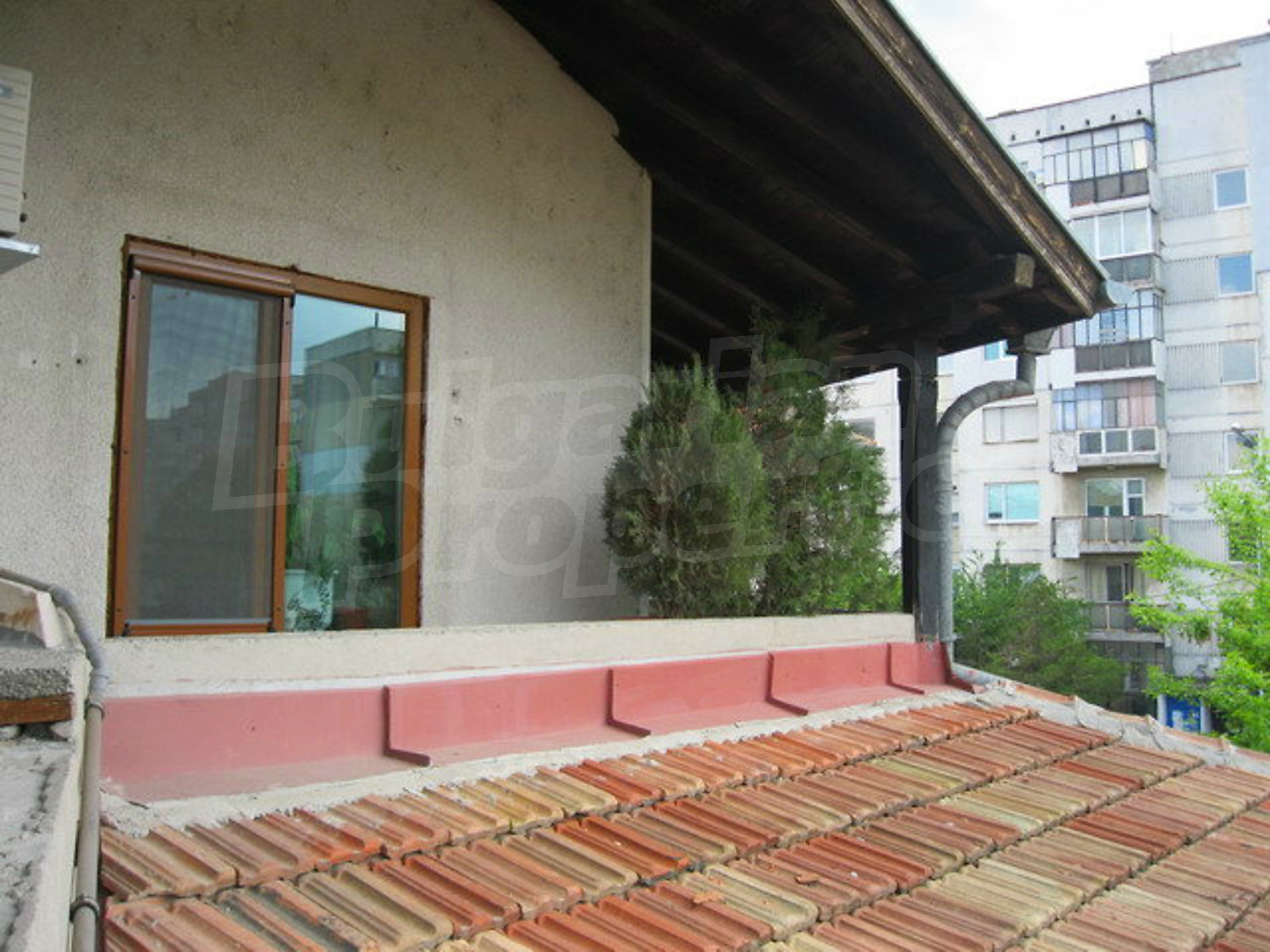 Gallery Picture 28